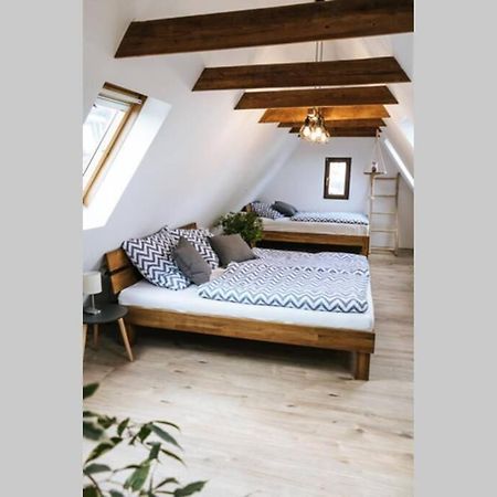 The Cozy Studio Apartment Lauf Lauf an der Pegnitz Exterior foto