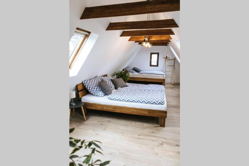 The Cozy Studio Apartment Lauf Lauf an der Pegnitz Exterior foto