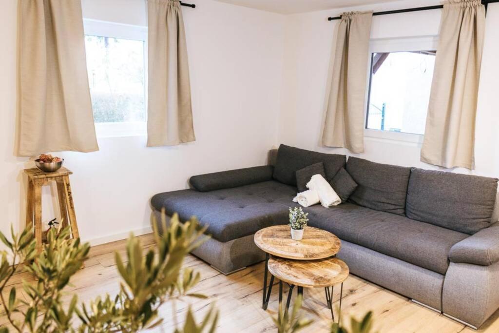 The Cozy Studio Apartment Lauf Lauf an der Pegnitz Exterior foto